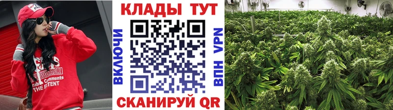 Цена Ершов Галлюциногенные грибы  МЕФ  СК  ГАШИШ  COCAIN 