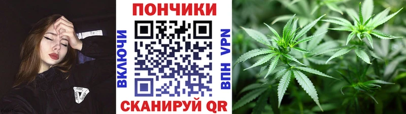 купить наркотики сайты  ОМГ ОМГ как войти  Каннабис THC 21%  Ершов 